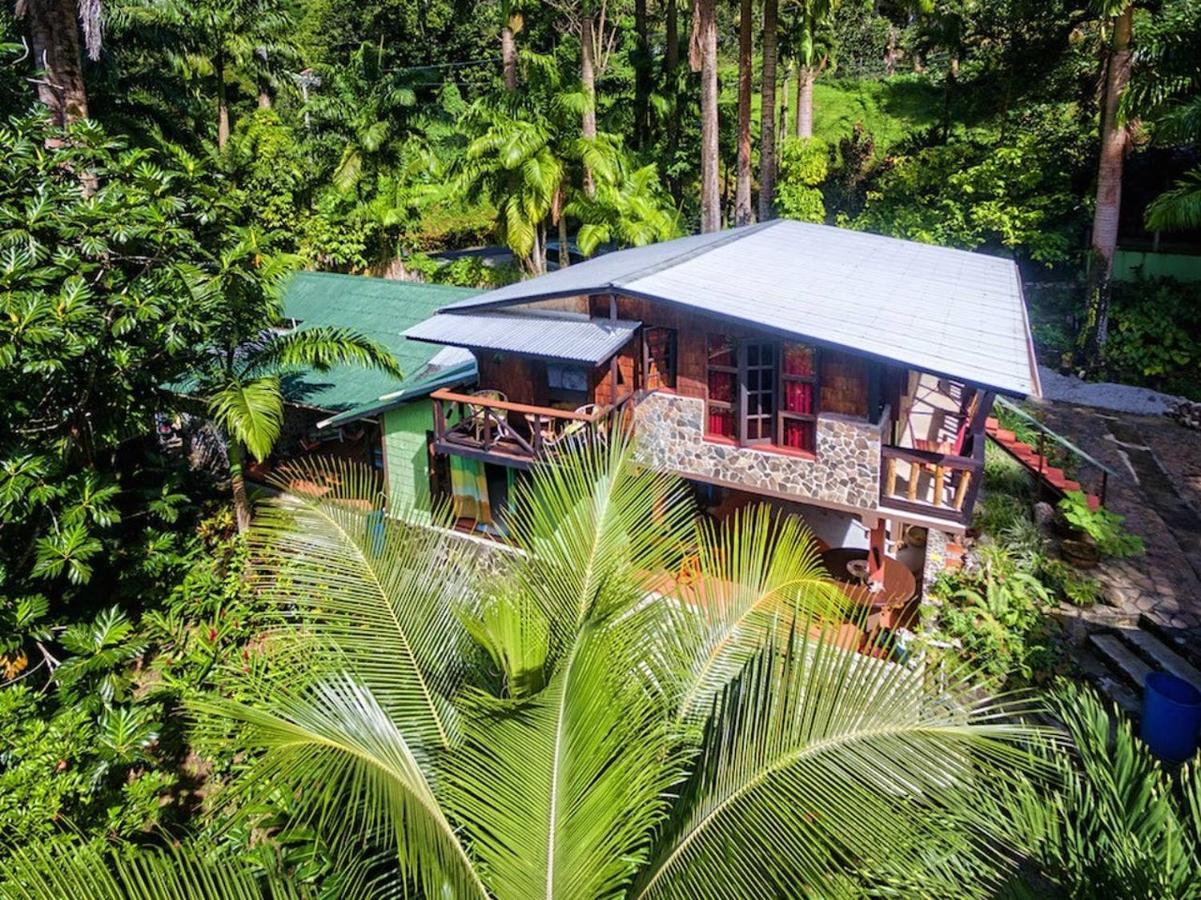 Cocoa Cottage Roseau Exteriér fotografie