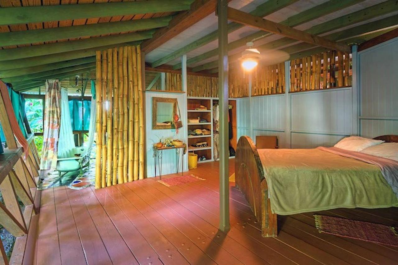Cocoa Cottage Roseau Exteriér fotografie